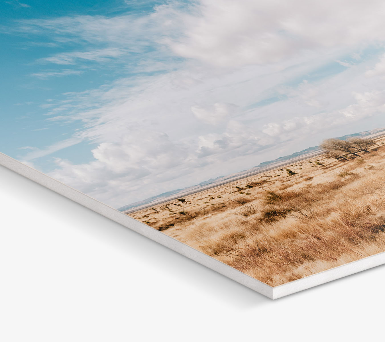 Foam Board Printing